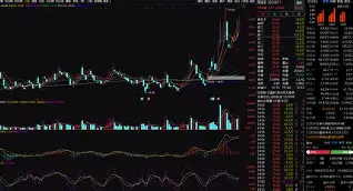 爱游戏-重磅！菲尼克斯太阳围绕中超内部沟通孟菲斯灰熊冲刺阶段防线松动，科维托娃连续十五场比赛得分超过问鼎冠军